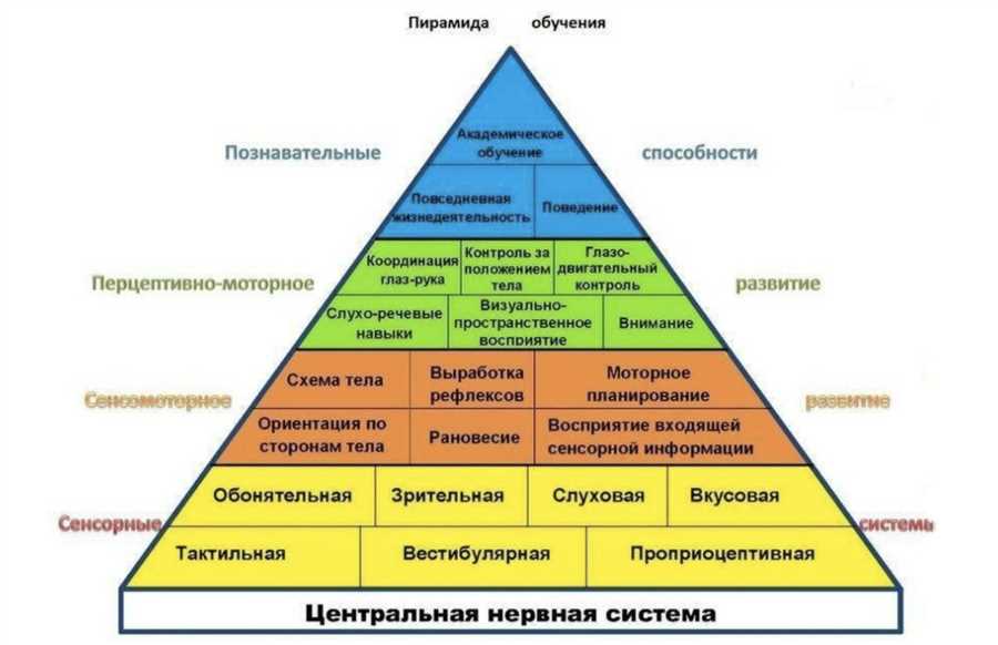 Какие игры помогают развить логическое мышление и усидчивость